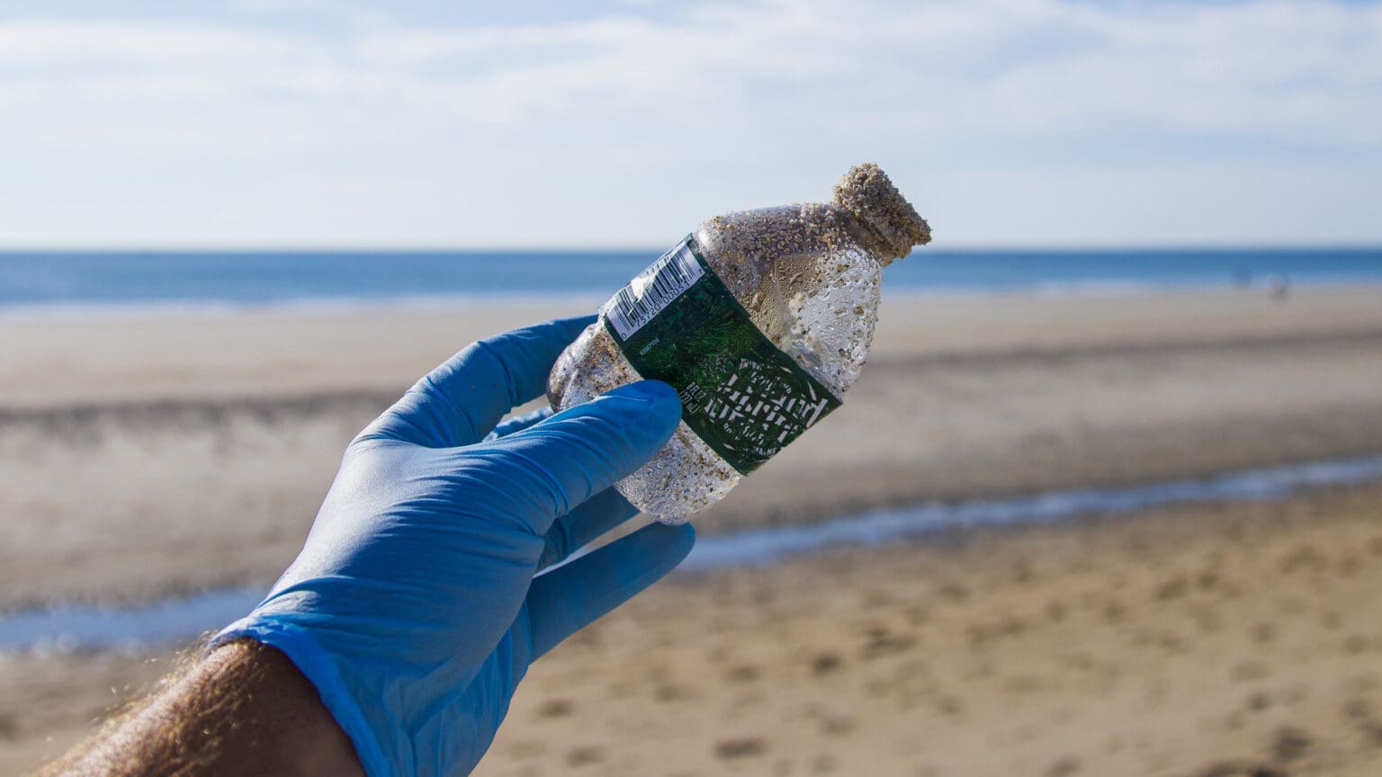 A Importância da Integração Social e Desenvolvimento de Aptidões Profissionais nas Praias da Arrábida 1 A Importância da Integração Social e Desenvolvimento de Aptidões Profissionais nas Praias da Arrábida