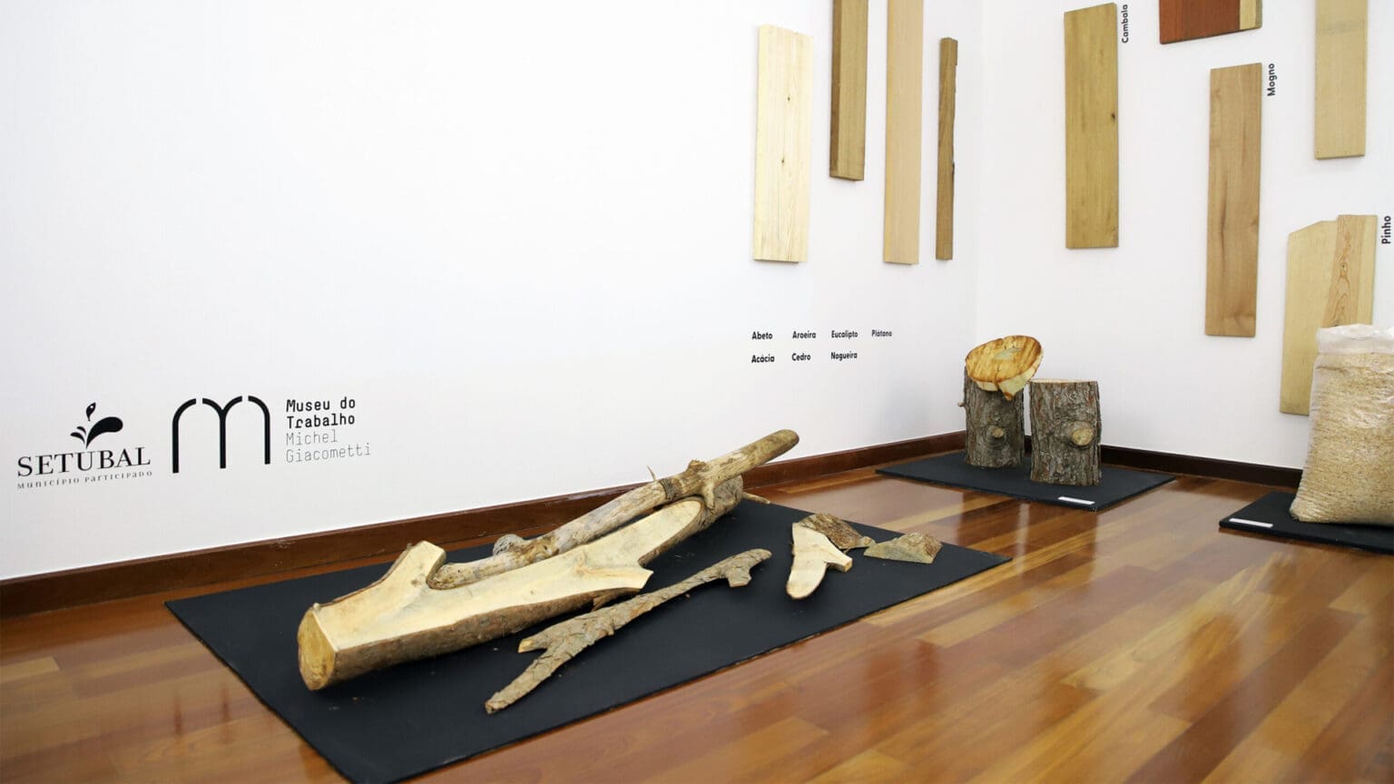Exposição “Carpintaria”: Preservando a Arte e Ofício em Setúbal