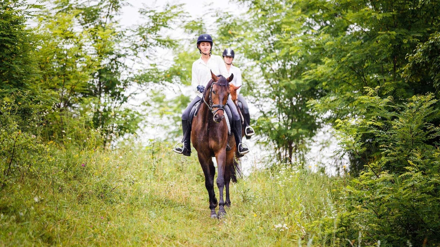 Férias Equestres de Verão: Uma Experiência Única em Santo André
