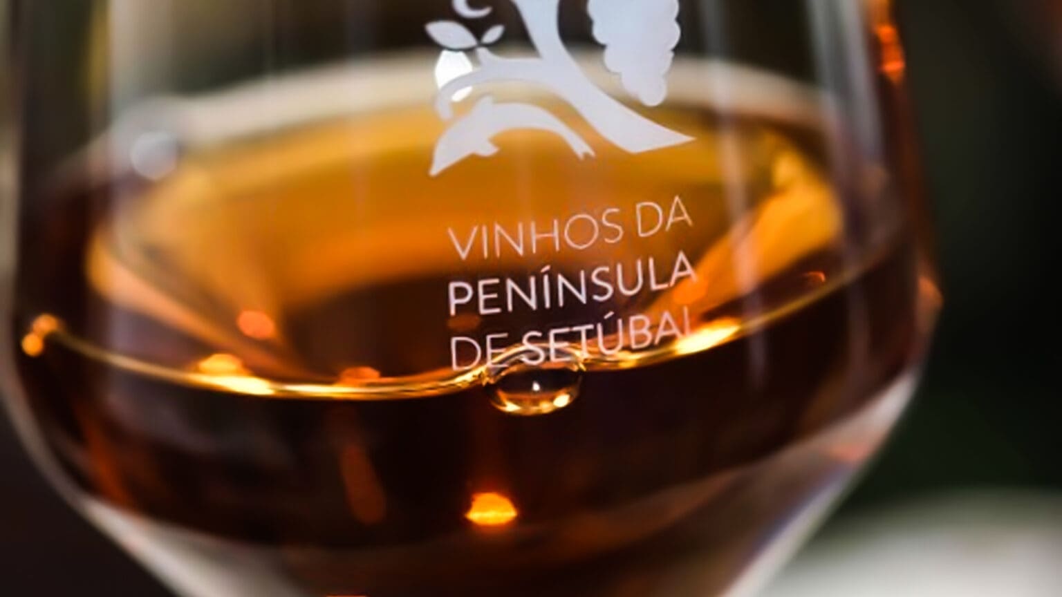 Vinho, Coelho e Moscatel são os destaques nos próximos fins de semana gastronómicos de Palmela 1 Vinho, Coelho e Moscatel são os destaques nos próximos fins de semana gastronómicos de Palmela