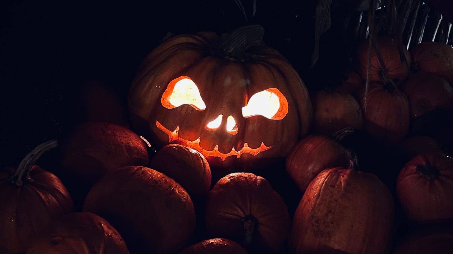 Sublime Comporta recebe a melhor festa deste Halloween! 1 Sublime Comporta recebe a melhor festa deste Halloween!