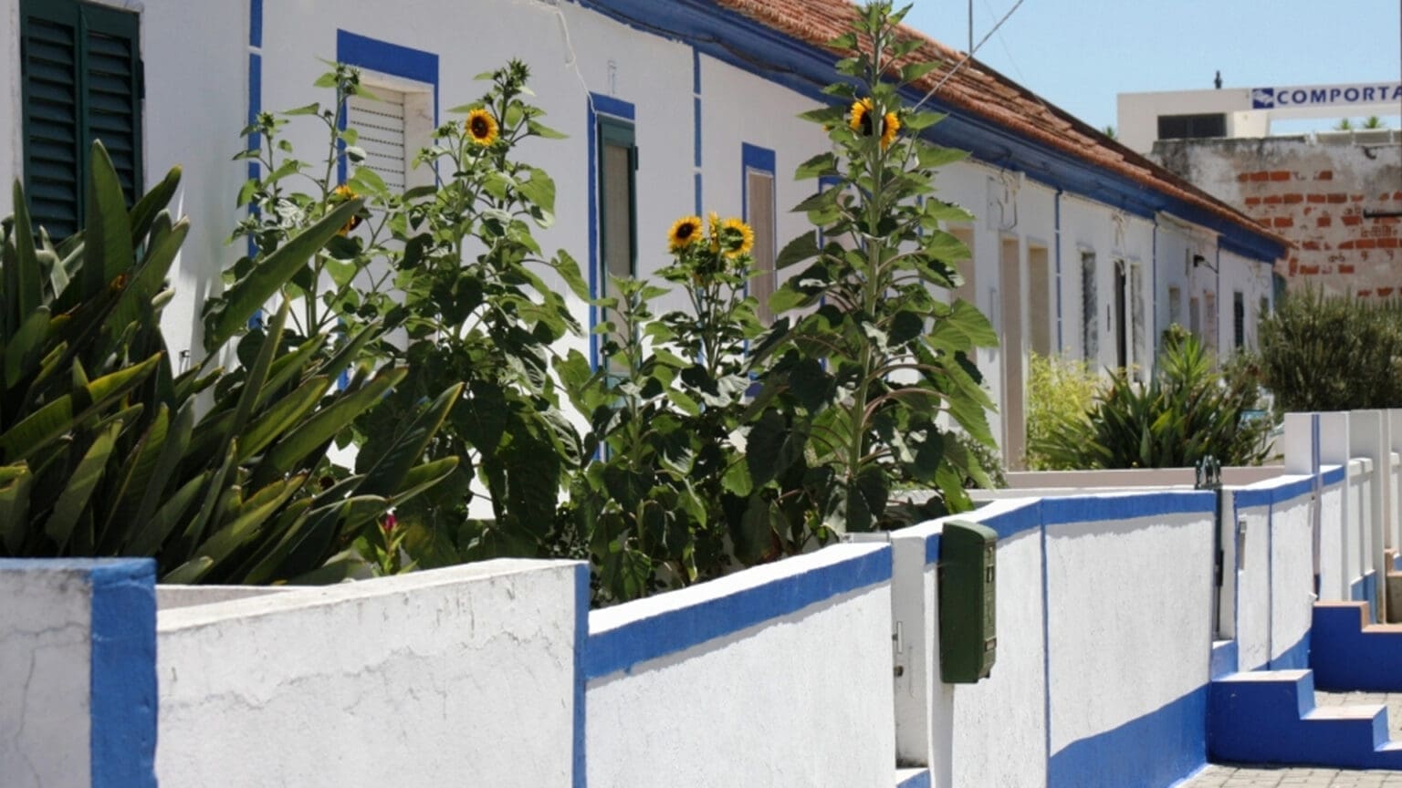 Preço de casas na Comporta aumentaram 165% desde 2019. Câmara já avançou com medidas para promover habitação acessível 1 Preço de casas na Comporta aumentaram 165% desde 2019. Câmara já avançou com medidas para promover habitação acessível