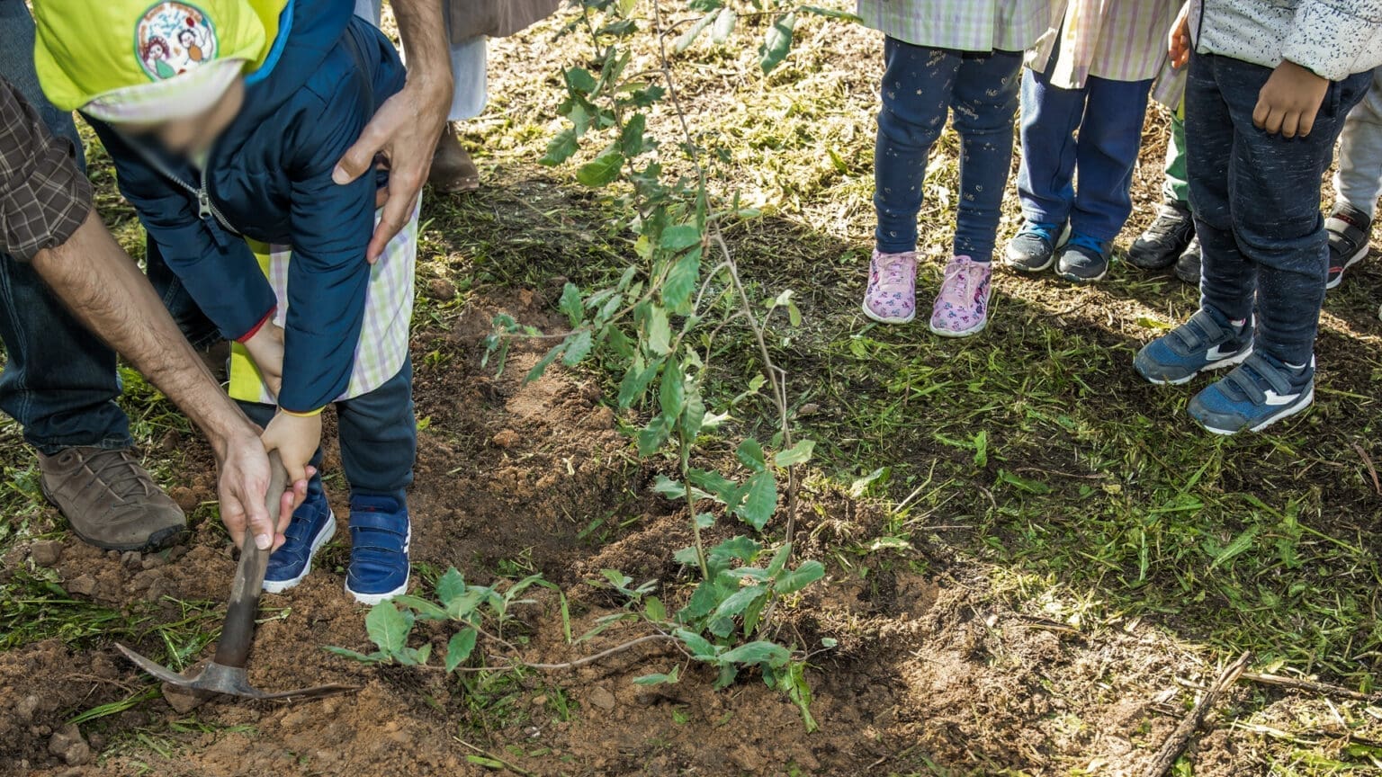 Pinhal Novo Verde: Um Projeto de Arborização Sustentável