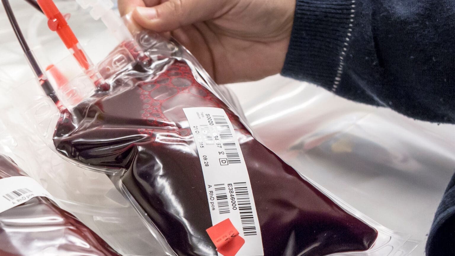 Recolha de Sangue no INATEL: Dê o Presente da Vida neste Ano Novo