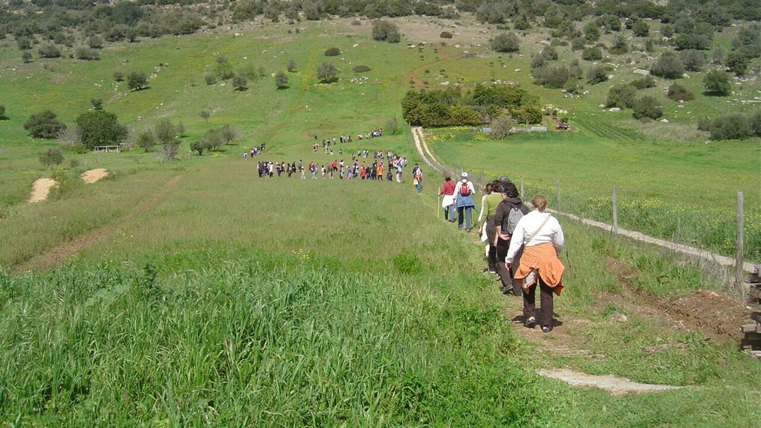 Comece o ano em movimento com as Caminhadas Desportivas "Mexa-se em Palmela"! 1 Comece o ano em movimento com as Caminhadas Desportivas “Mexa-se em Palmela”!