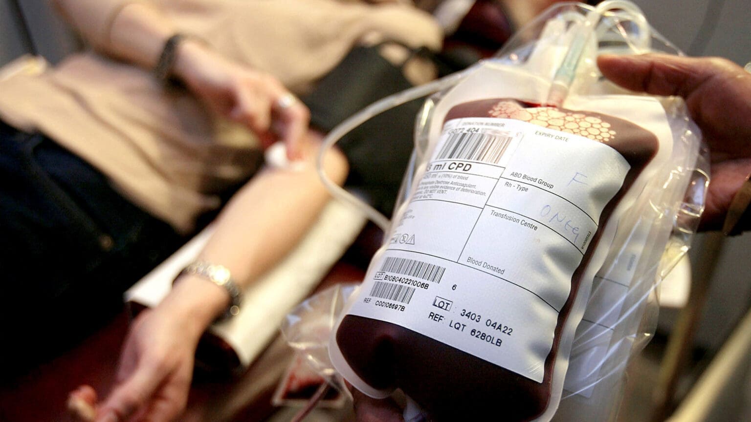 Colheita de Sangue no Pinhal Novo: Uma Iniciativa que Salva Vidas com o Apoio do Município de Palmela 1 Colheita de Sangue no Pinhal Novo: Uma Iniciativa que Salva Vidas com o Apoio do Município de Palmela