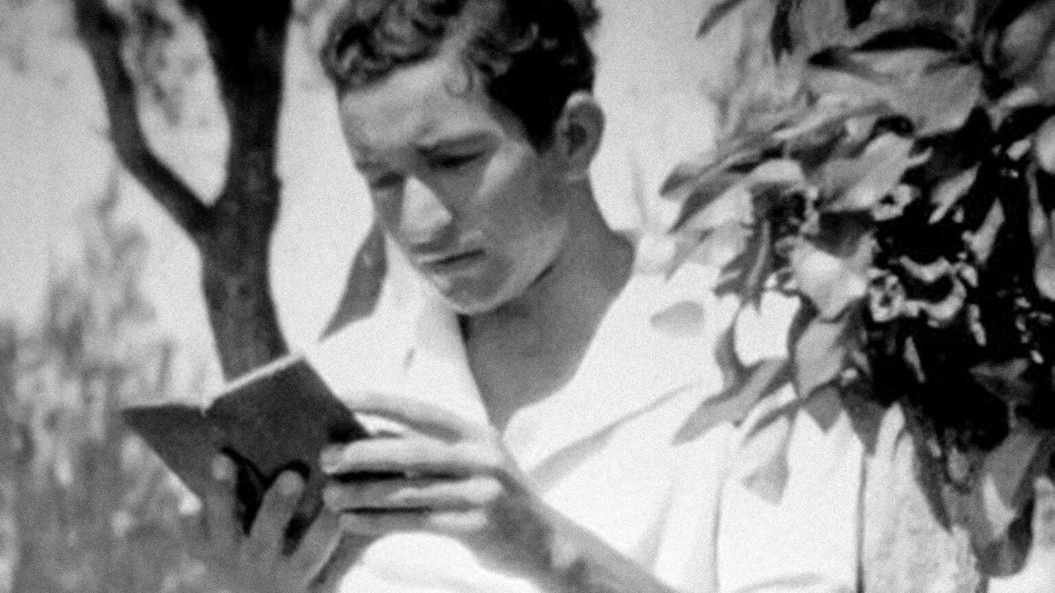 “Pelo Sonho é que Vamos”: Uma Viagem Ilustrada Pela Vida de Sebastião da Gama em Palmela 1 “Pelo Sonho é que Vamos”: Uma Viagem Ilustrada Pela Vida de Sebastião da Gama em Palmela