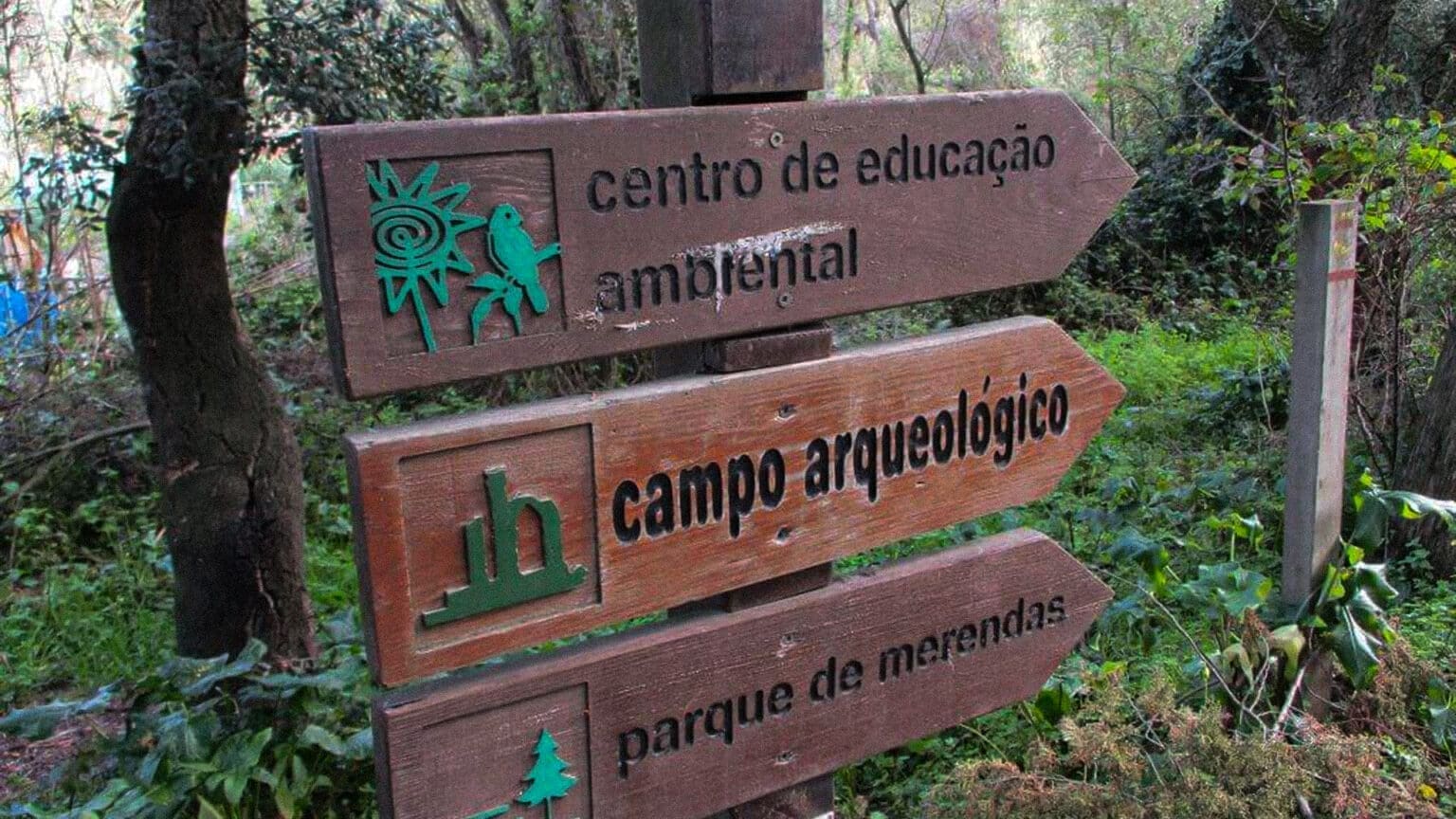 Uma Educação para o Ambiente 1 Uma Educação para o Ambiente
