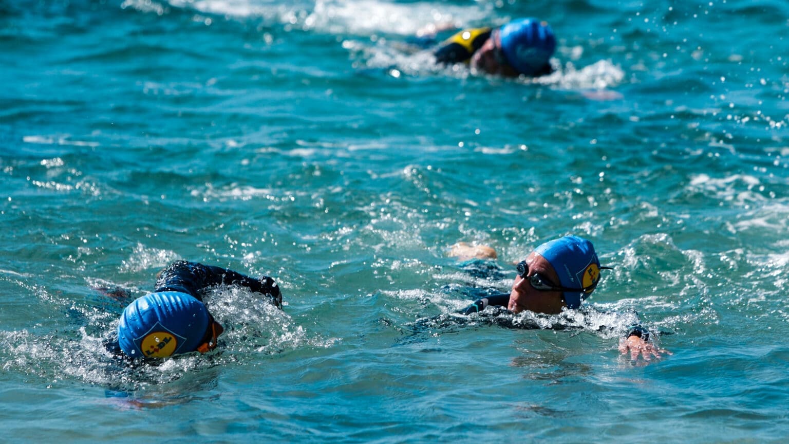 Setúbal Open Water Race: Corrida de Águas Abertas regressa em abril ao Rio Sado 1 Setúbal Open Water Race: Corrida de Águas Abertas regressa em abril ao Rio Sado