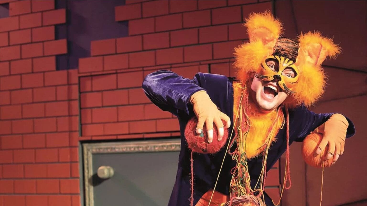 Descobrindo o Encantador Mundo dos Gatos no Teatro Municipal Joaquim Benite 1 Descobrindo o Encantador Mundo dos Gatos no Teatro Municipal Joaquim Benite
