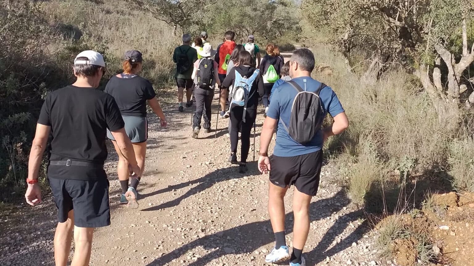 Descubra as Novas Caminhadas do Programa “Mexa-se em Palmela” e Aproveite os Dias de Sol
