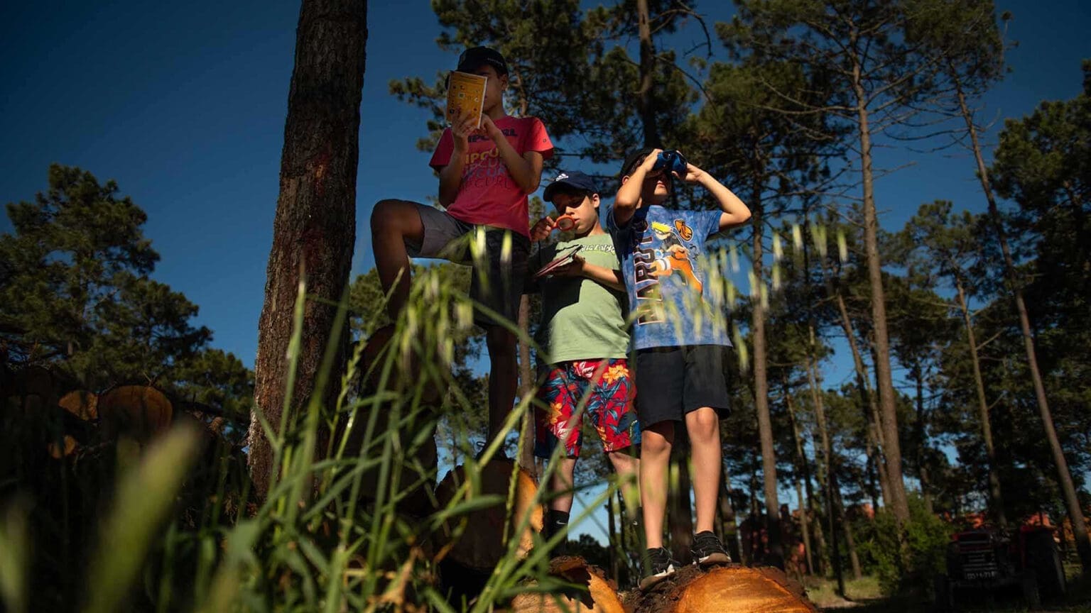 Alegria e Aprendizagem: O Campo de Férias Perfeito para Crianças em Seixal 1 Alegria e Aprendizagem: O Campo de Férias Perfeito para Crianças em Seixal