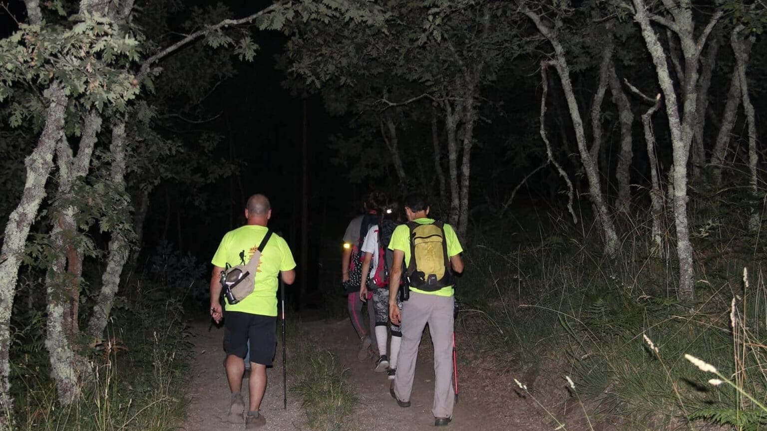 Redescubra Palmela este Verão com as Emocionantes Caminhadas Desportivas Noturnas