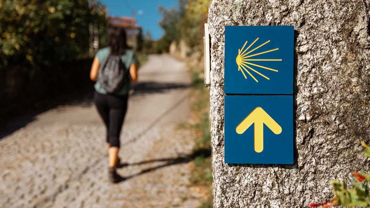 Celebrando o Caminho de Santiago em Palmela: Uma Jornada Histórica e Emocional 1 Celebrando o Caminho de Santiago em Palmela: Uma Jornada Histórica e Emocional