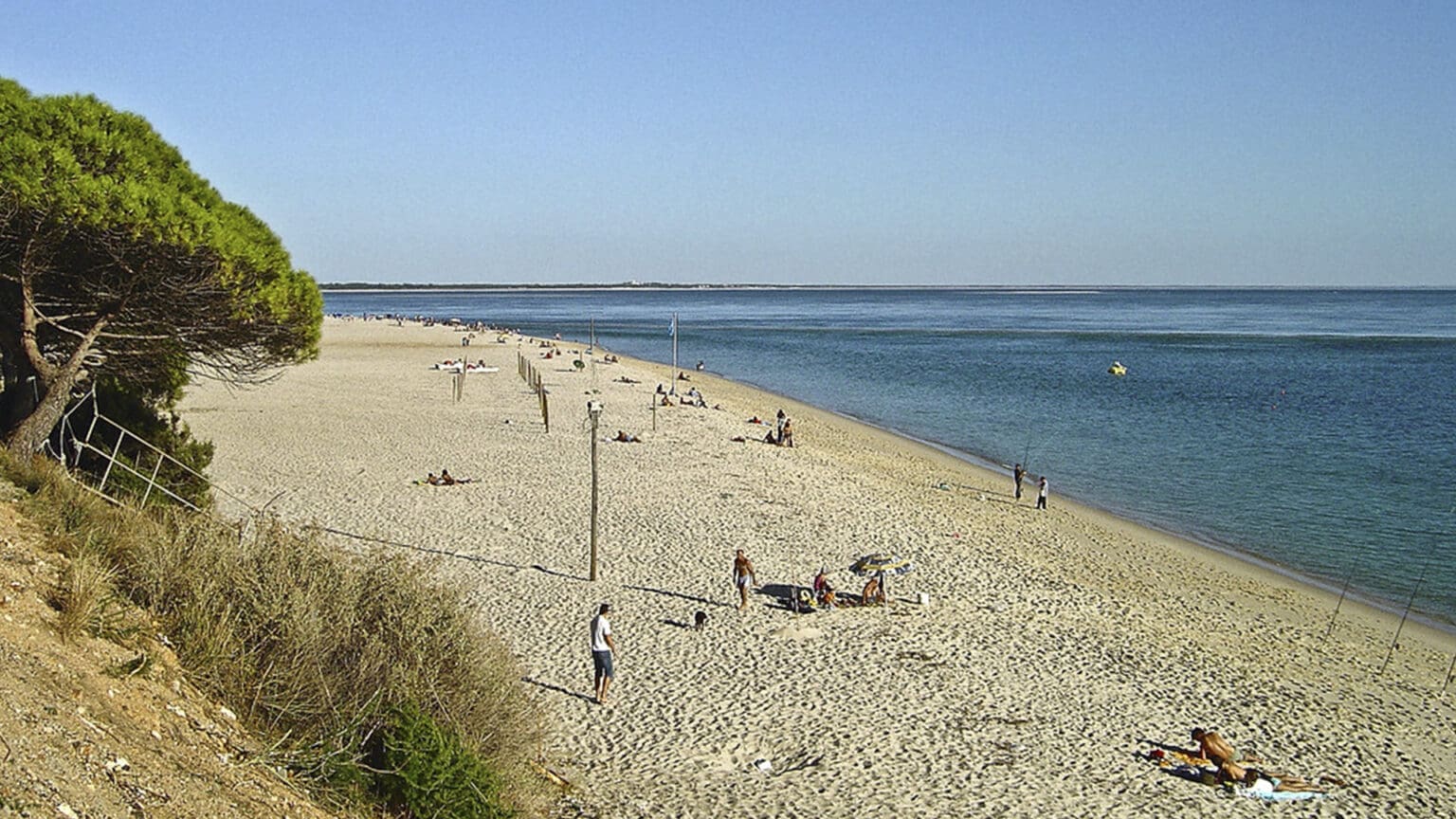 Não perca a Festa de Verão na Praia da Figueirinha em Setúbal 1 Não perca a Festa de Verão na Praia da Figueirinha em Setúbal