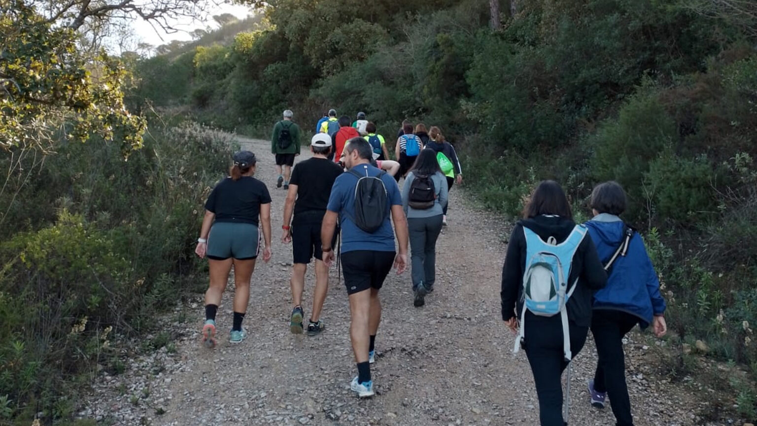 Caminhadas Áudio Guiadas em Palmela: Uma Experiência Acessível na Natureza 1 Caminhadas Áudio Guiadas em Palmela: Uma Experiência Acessível na Natureza