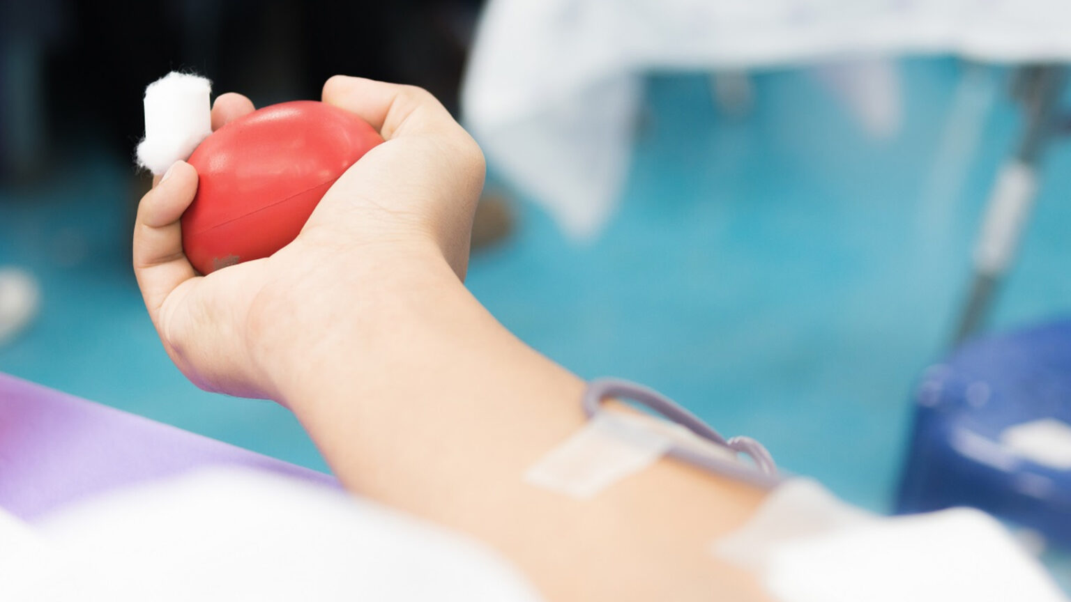 Colheitas de Sangue em Palmela: Participe nas Últimas Ações de 2024 1 Colheitas de Sangue em Palmela: Participe nas Últimas Ações de 2024