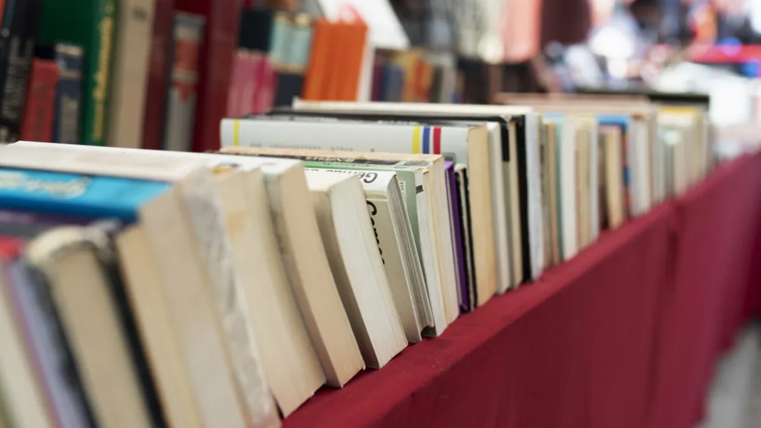 Não perca a Grândola literária 1 Não perca a Grândola literária