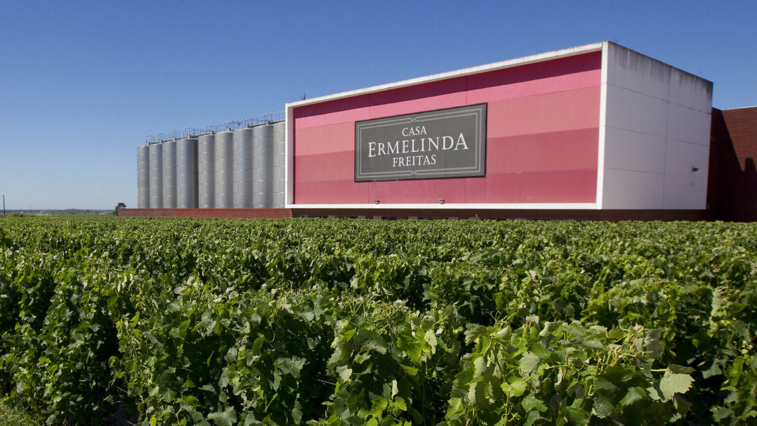 Casa Ermelinda Freitas distinguida no Vinalies Internationales 2025