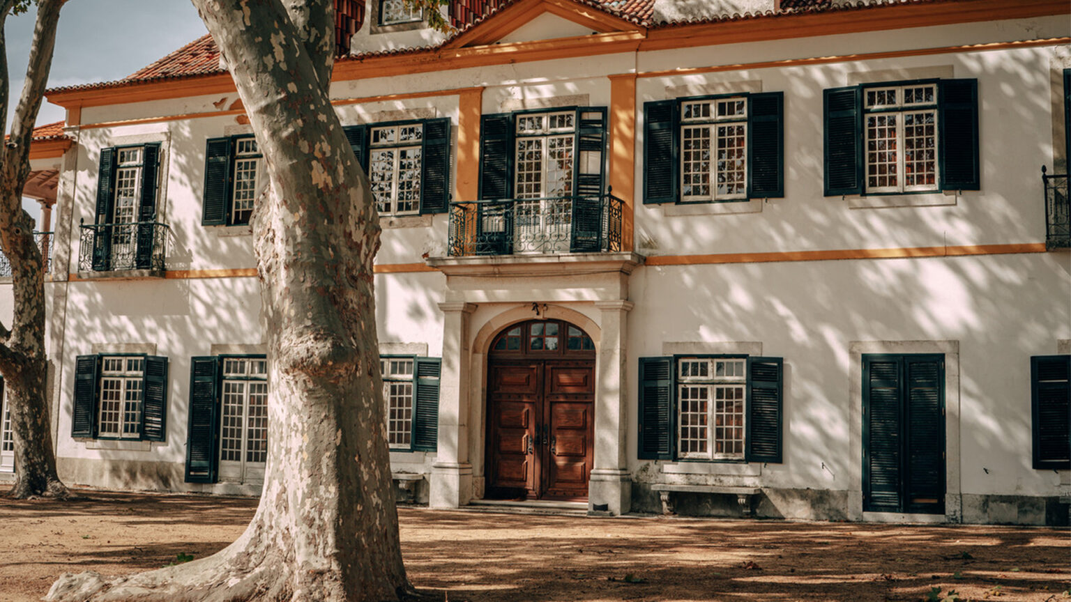 Artes na Fidalga 2025: Uma Celebração da Criatividade no Seixal