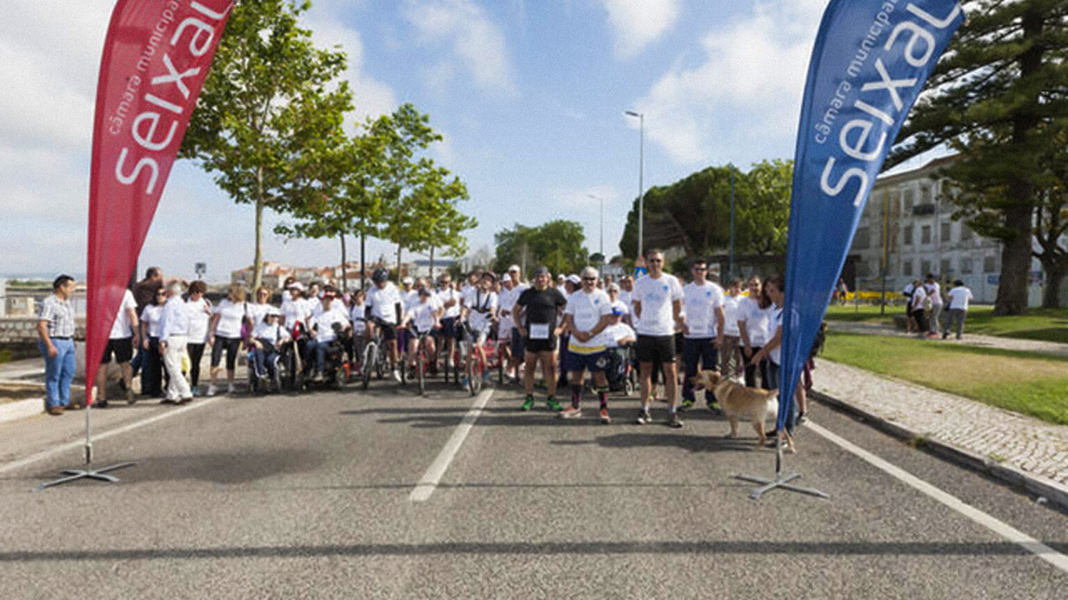 Caminhada Solidária pelo Seixal: Uma Experiência de Bem-Estar e Solidariedade