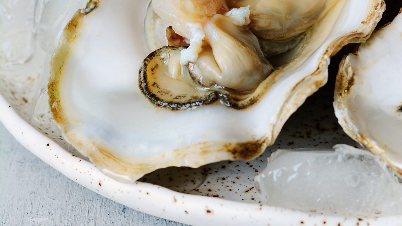 Gastronomia de Excelência em Setúbal: Uma celebração dos sabores locais