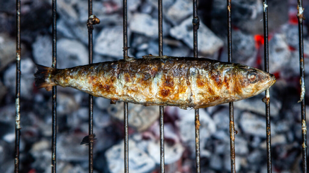 Trafaria na Brasa