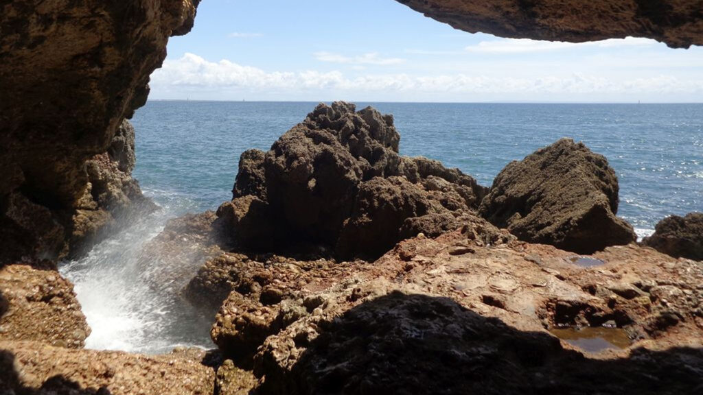 ARRÁBIDA