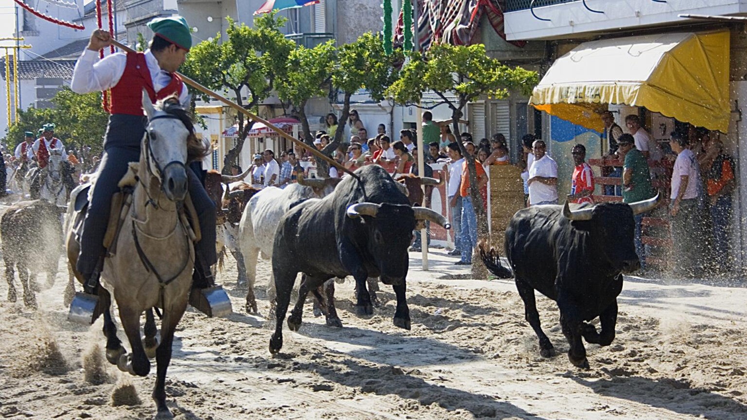 Não perca as Festas do Barrete Verde e das Salinas em Alcochete 1 Não perca as Festas do Barrete Verde e das Salinas em Alcochete