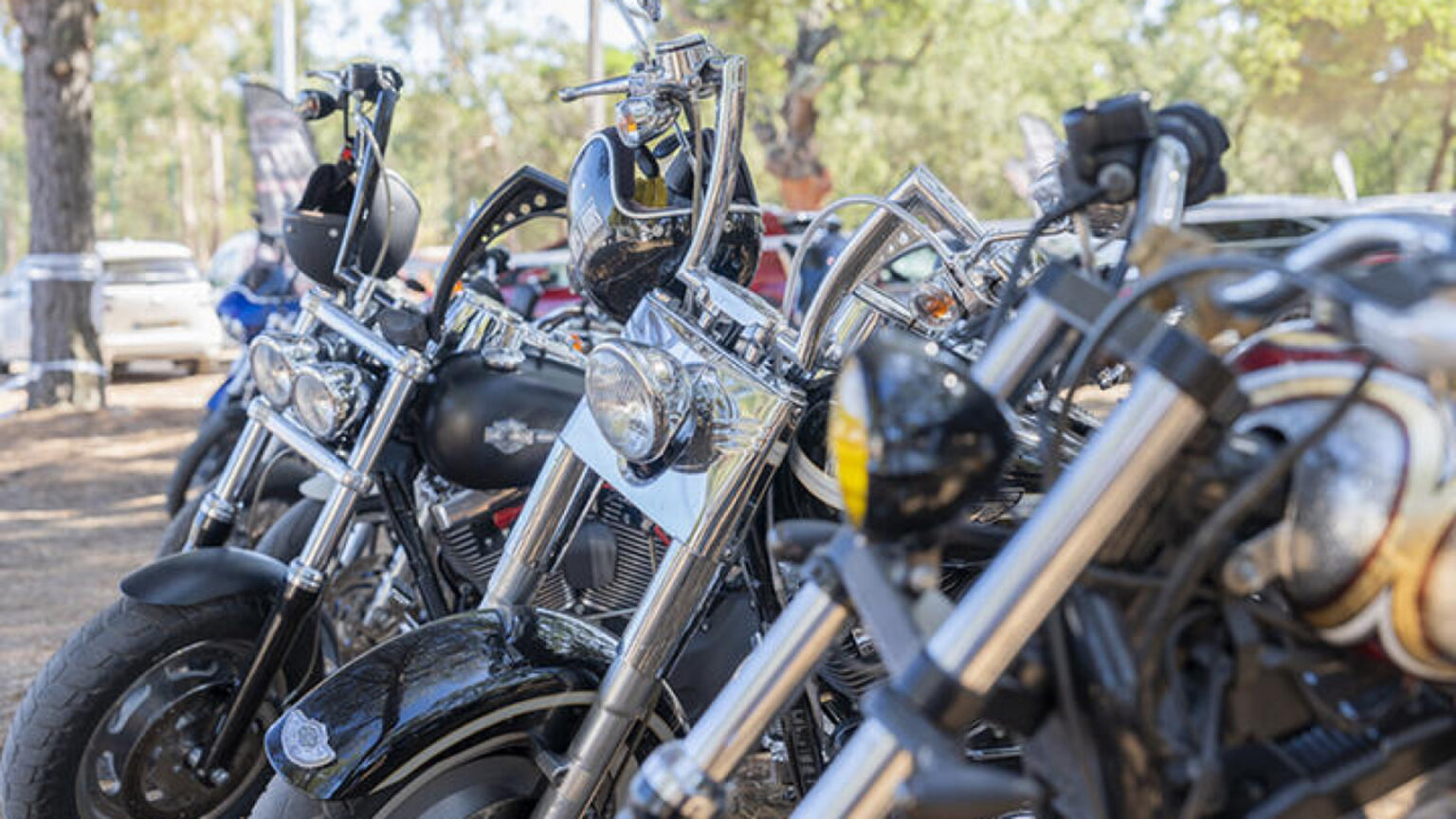 Seixal Motard regressa com D.A.M.A, Iris e Quinta do Bill