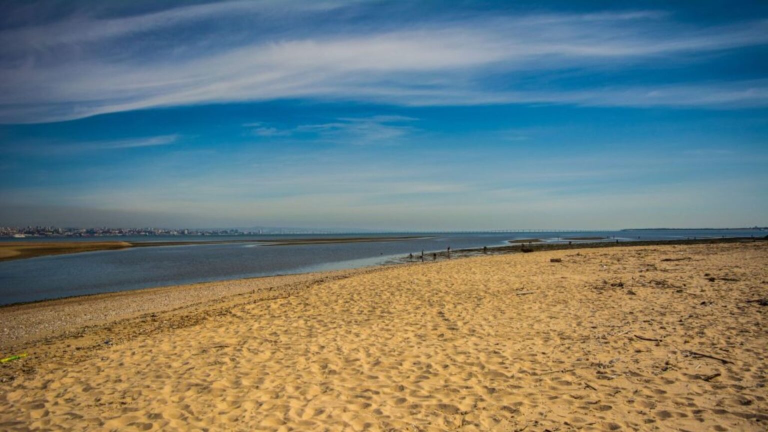 Aproveite esta caminhada de 7 Horas com mergulhos no Tejo no Barreiro