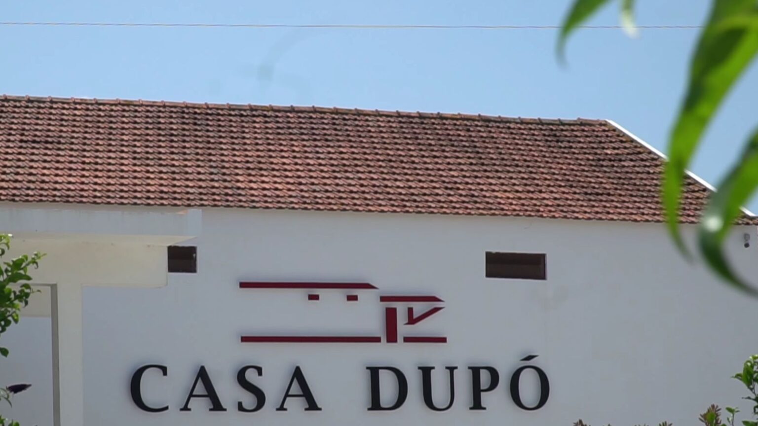 Entrevista a Manuel Pinto de Oliveira, o advogado por trás dos vinhos Casa Dupó 1 Entrevista a Manuel Pinto de Oliveira, o advogado por trás dos vinhos Casa Dupó