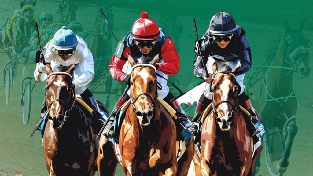 Corridas de Cavalos