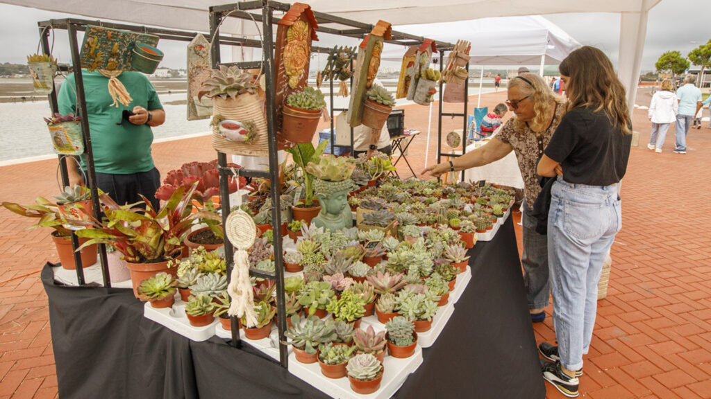 O Green Market está de regresso ao Seixal
