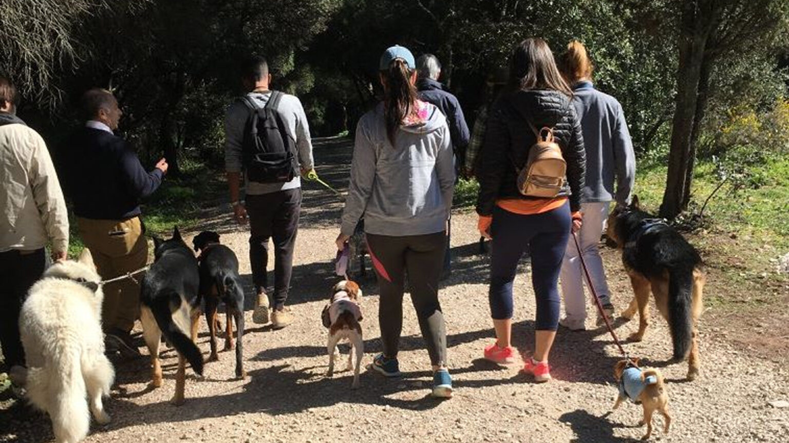 Atenção, amantes de animais de estimação de Seixal e Azeitão