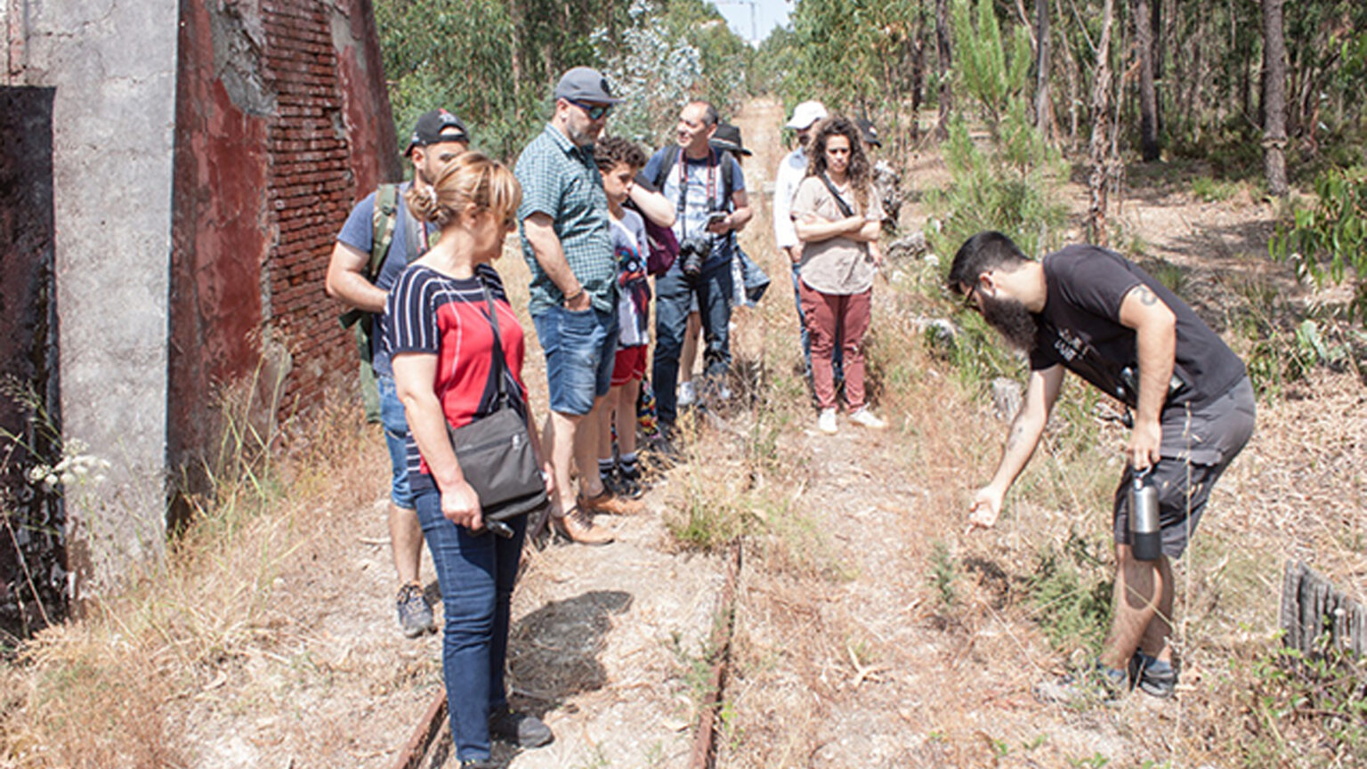 Conheça o projeto Calluna – Restauro Ambiental no Seixal