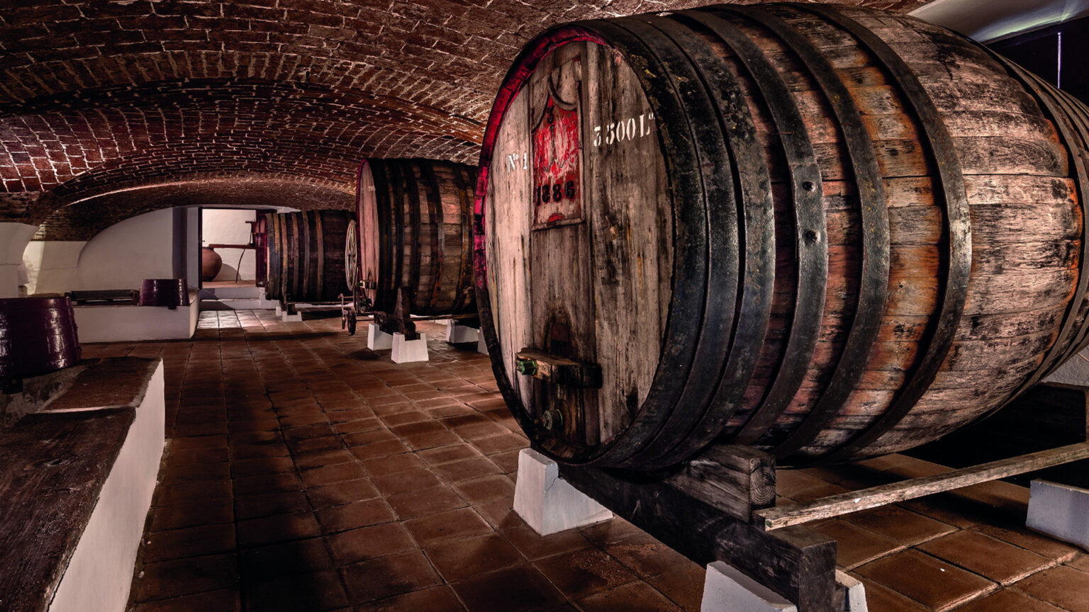 Halloween com sabor a moscatel: adegas da Margem Sul abrem-se ao mistério e à família