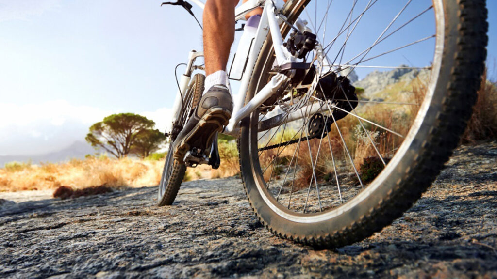 Pedalar o Seixal
