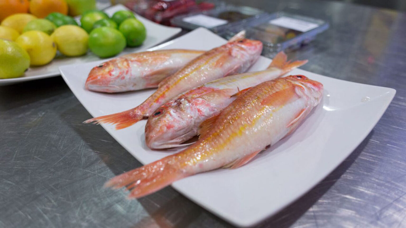 Setúbal celebra o sabor do mar na Semana do Salmonete 1 Setúbal celebra o sabor do mar na Semana do Salmonete
