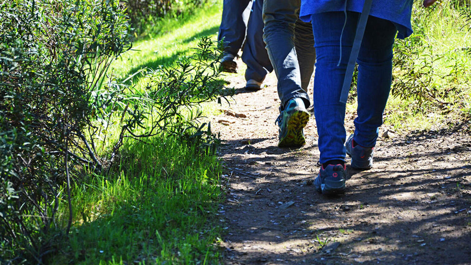 Caminhada Solidária junta “hikers” em Santiago do Cacém 1 Caminhada Solidária junta “hikers” em Santiago do Cacém