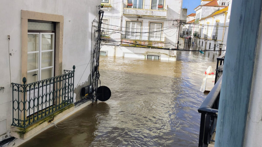 Quer ajudar Alcácer do Sal e as suas gentes? Saiba como